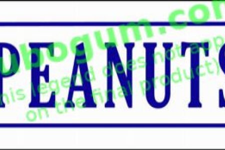 Spin-It Peanuts - DC266