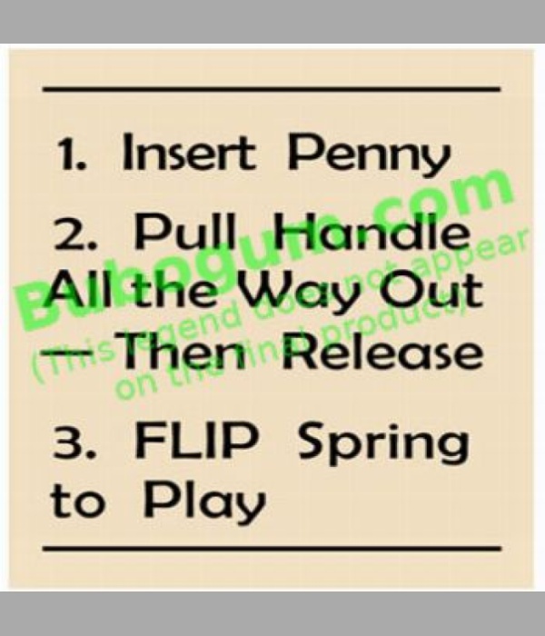 Coast Basketball, Instructions - DC619