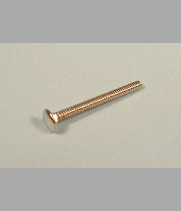 Carriage Bolts 10-24 x 2" - FS009